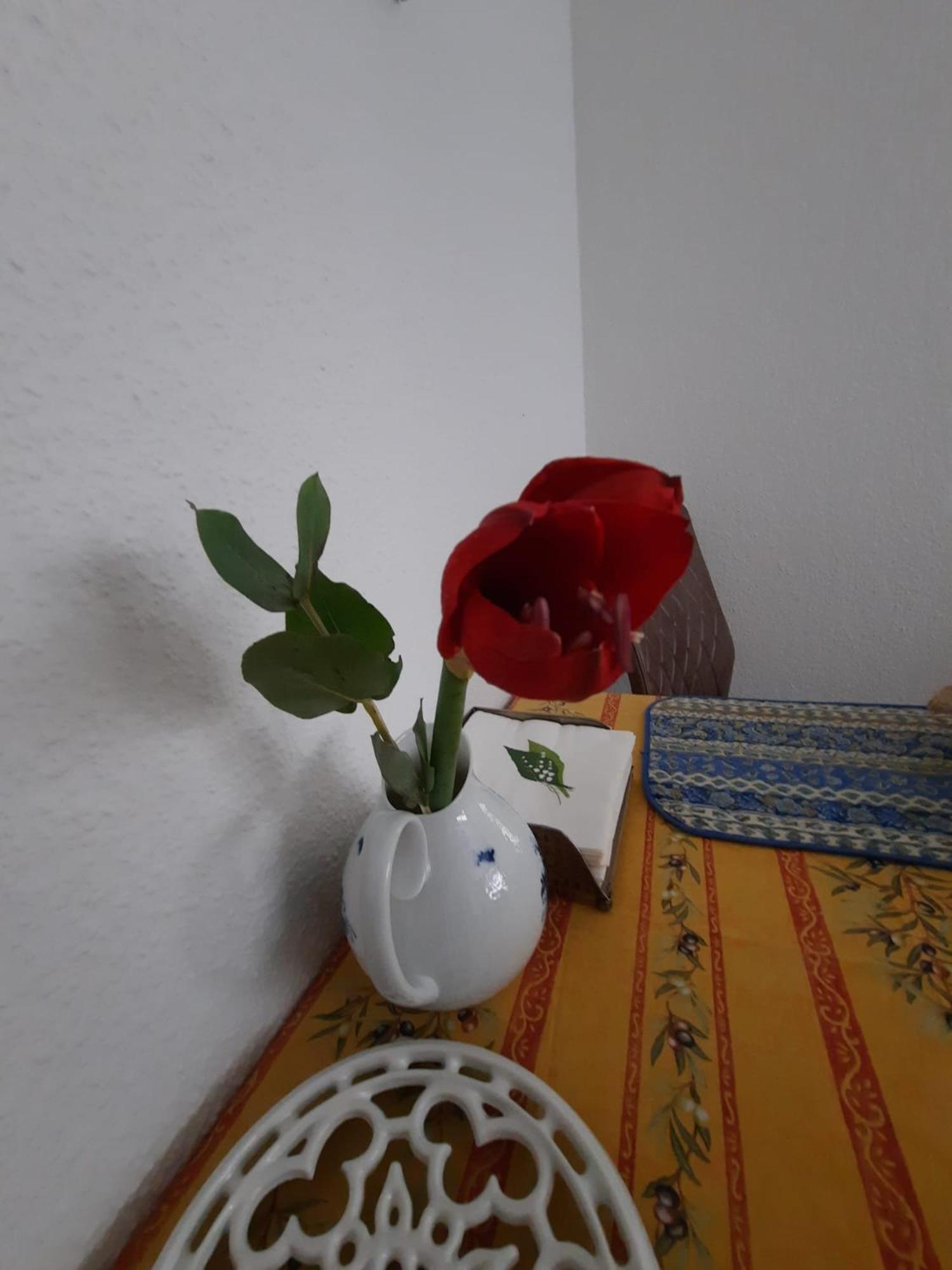 Gemuetliches Nest In Bester Koelner City-Wohnlage Екстериор снимка